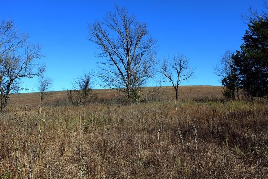 2897 US 54 HWY N/A — photo 75
