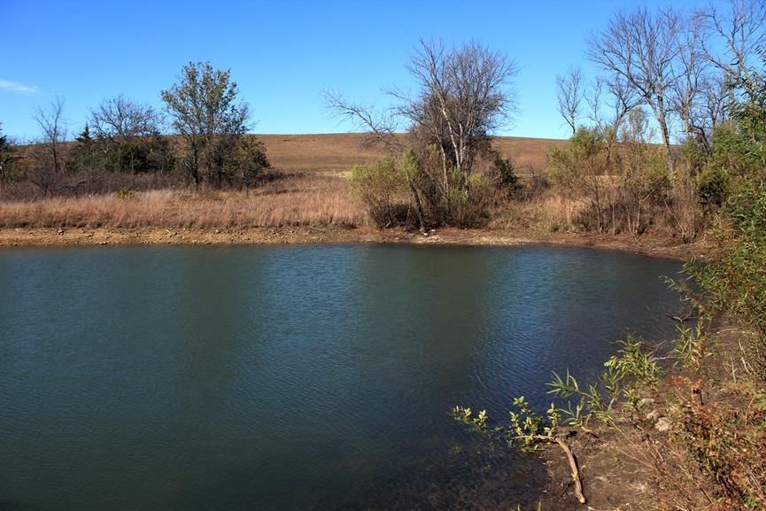 2897 US 54 HWY N/A — photo 78