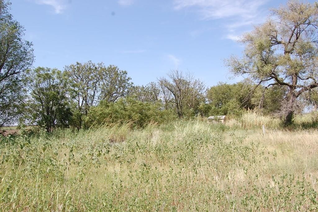 1012 S. Anson N/A — photo 15