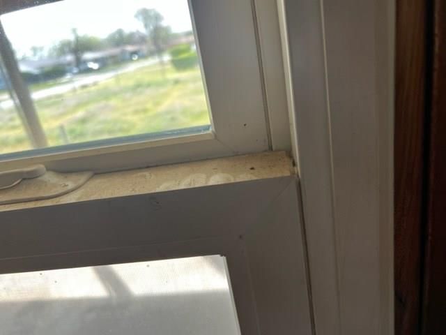 1402 Velma Drive — photo 16