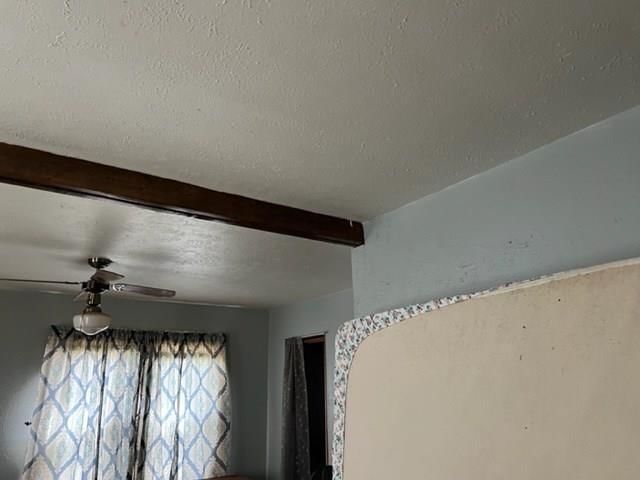 1402 Velma Drive — photo 9