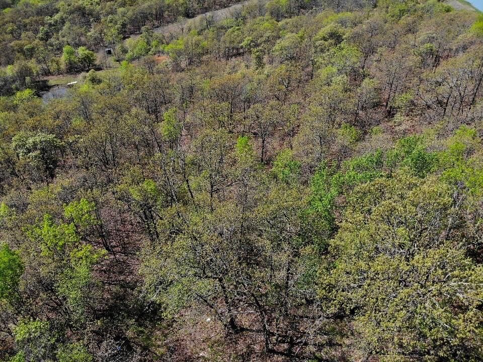 2407 CR 3102 N/A — photo 15