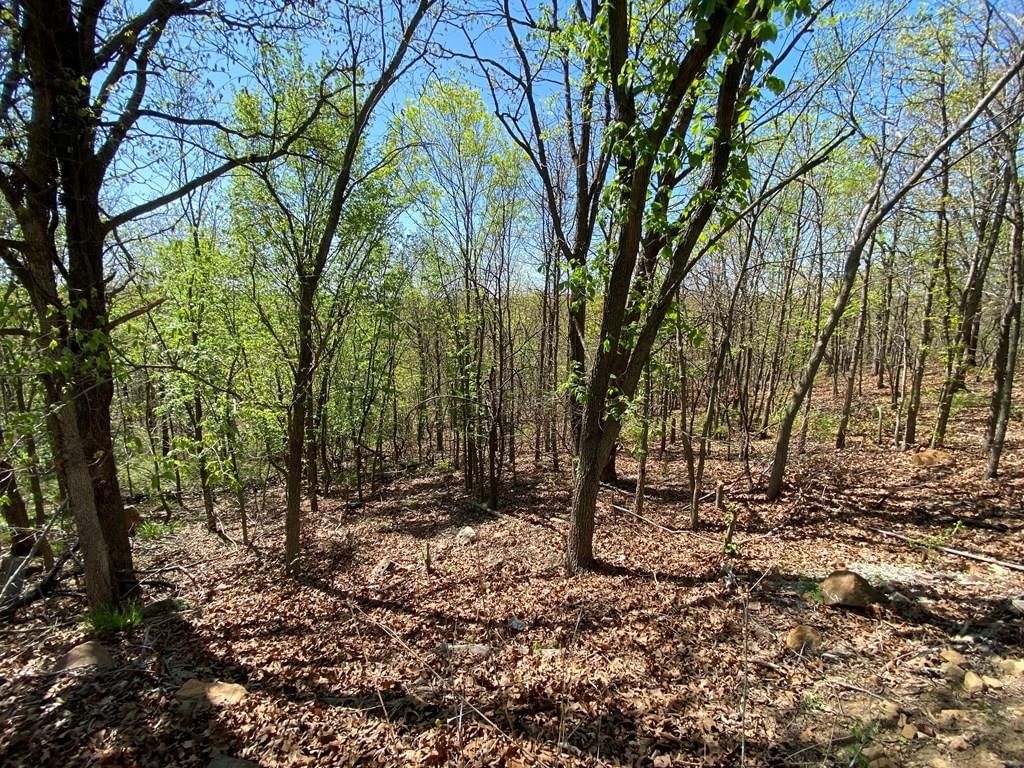 2407 CR 3102 N/A — photo 38