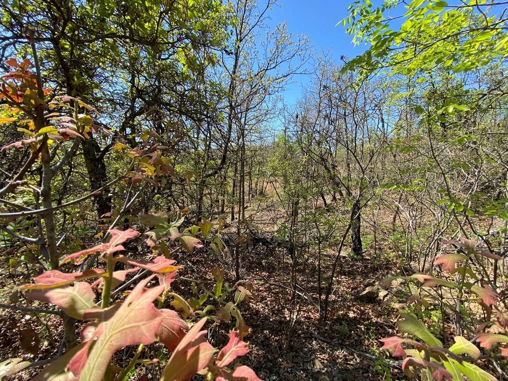 2407 CR 3102 N/A — photo 41