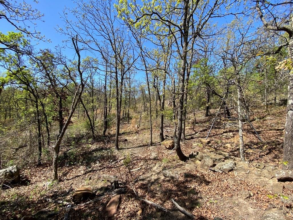 2407 CR 3102 N/A — photo 42