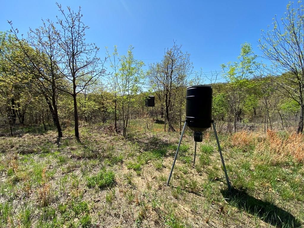 2407 CR 3102 N/A — photo 43