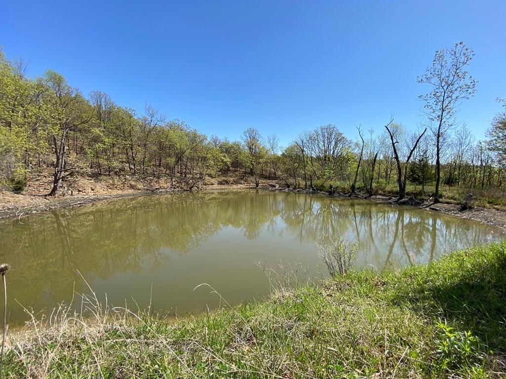 2407 CR 3102 N/A — photo 44
