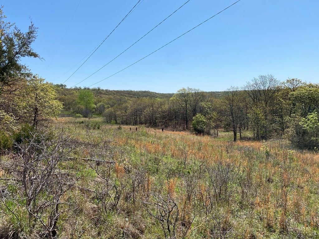 2407 CR 3102 N/A — photo 46