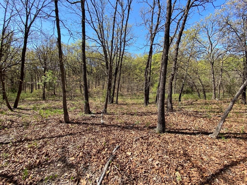 2407 CR 3102 N/A — photo 49