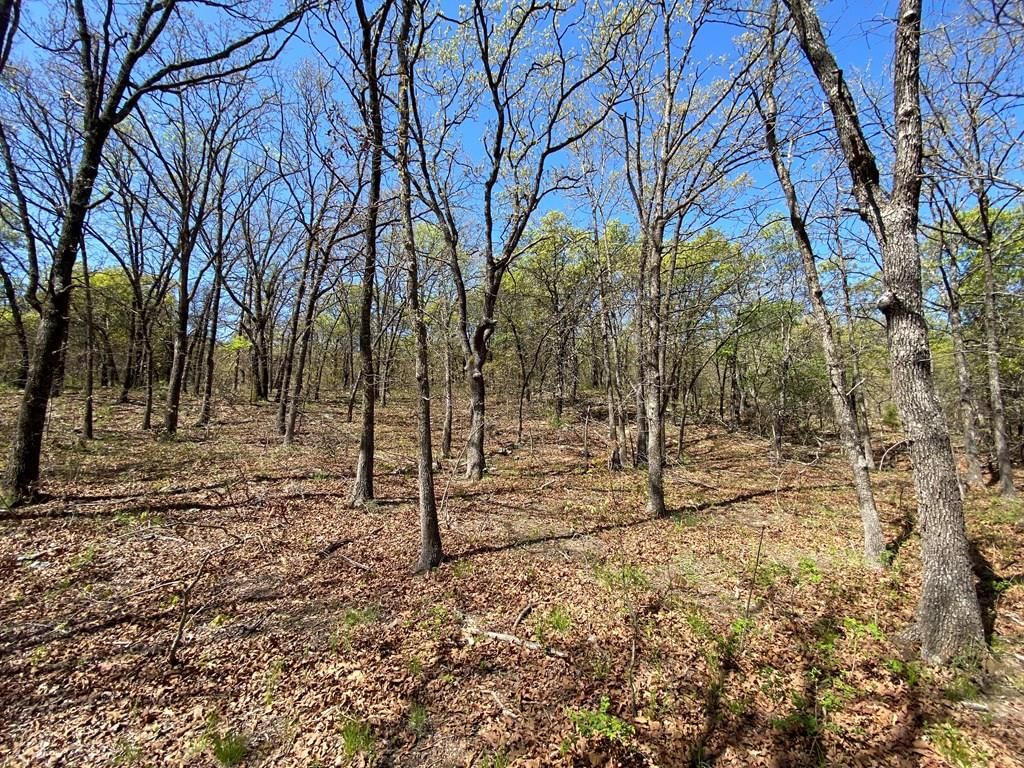 2407 CR 3102 N/A — photo 50