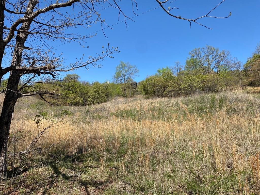 2407 CR 3102 N/A — photo 51