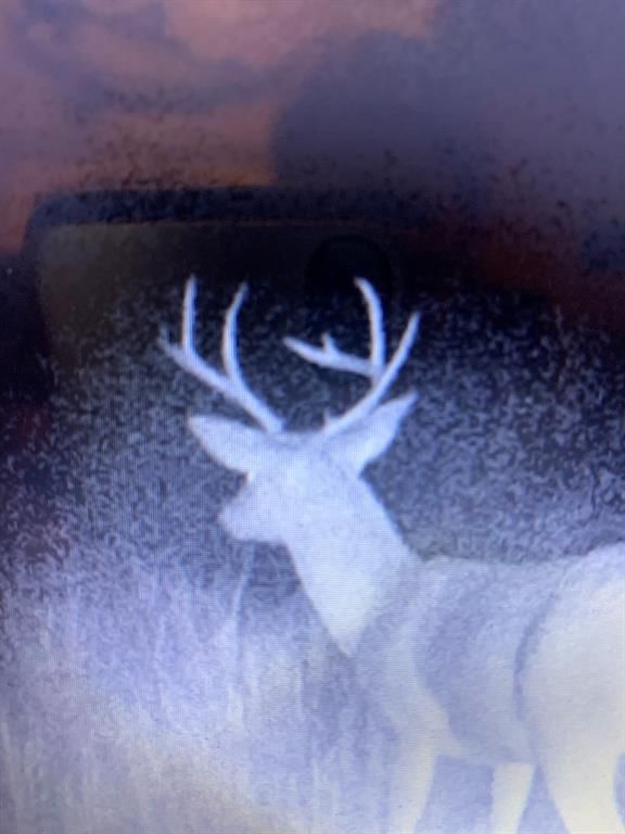 2407 CR 3102 N/A — photo 57