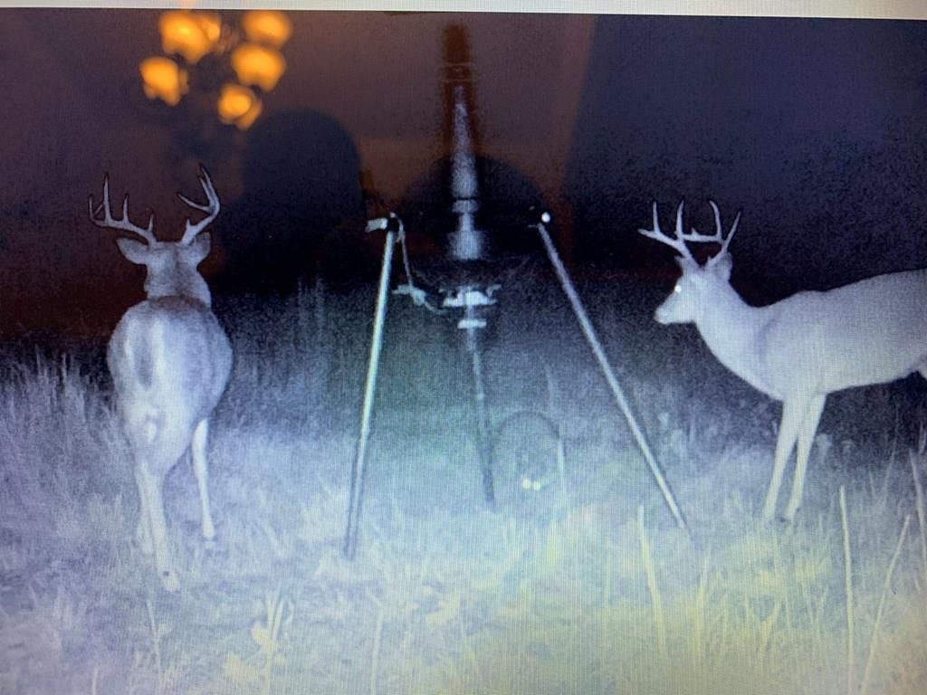 2407 CR 3102 N/A — photo 58
