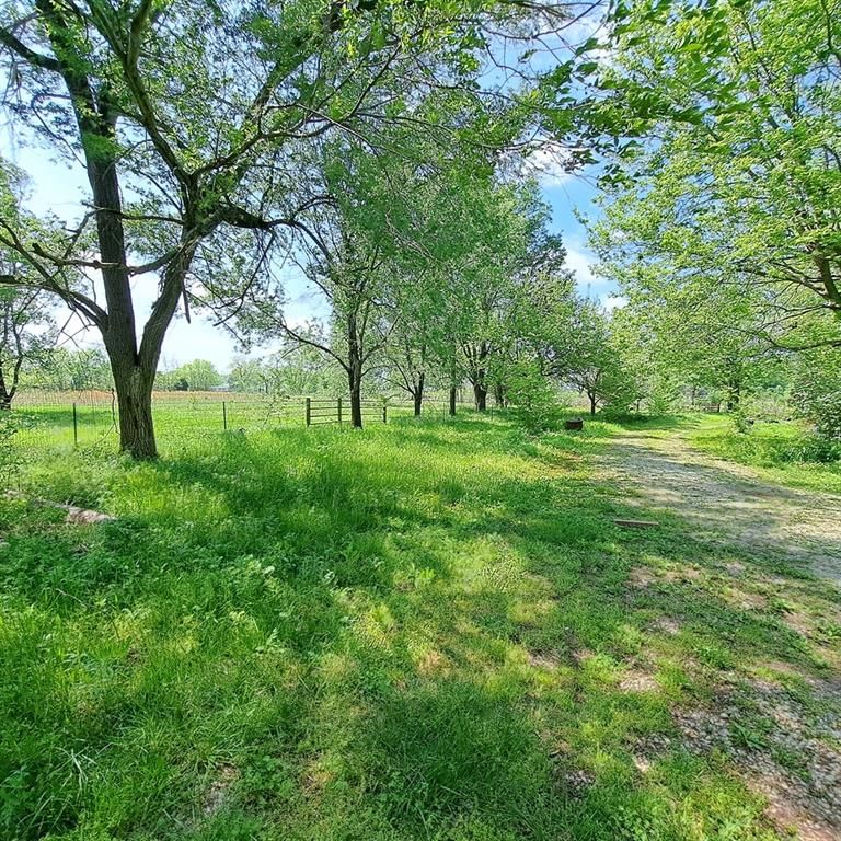 100 Hannah Myers Road — photo 20