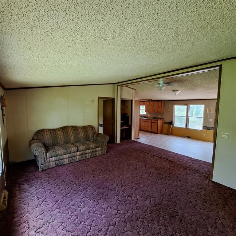 100 Hannah Myers Road — photo 8