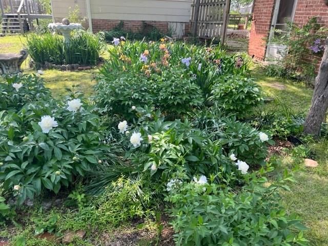 603 S Elm Street — photo 7