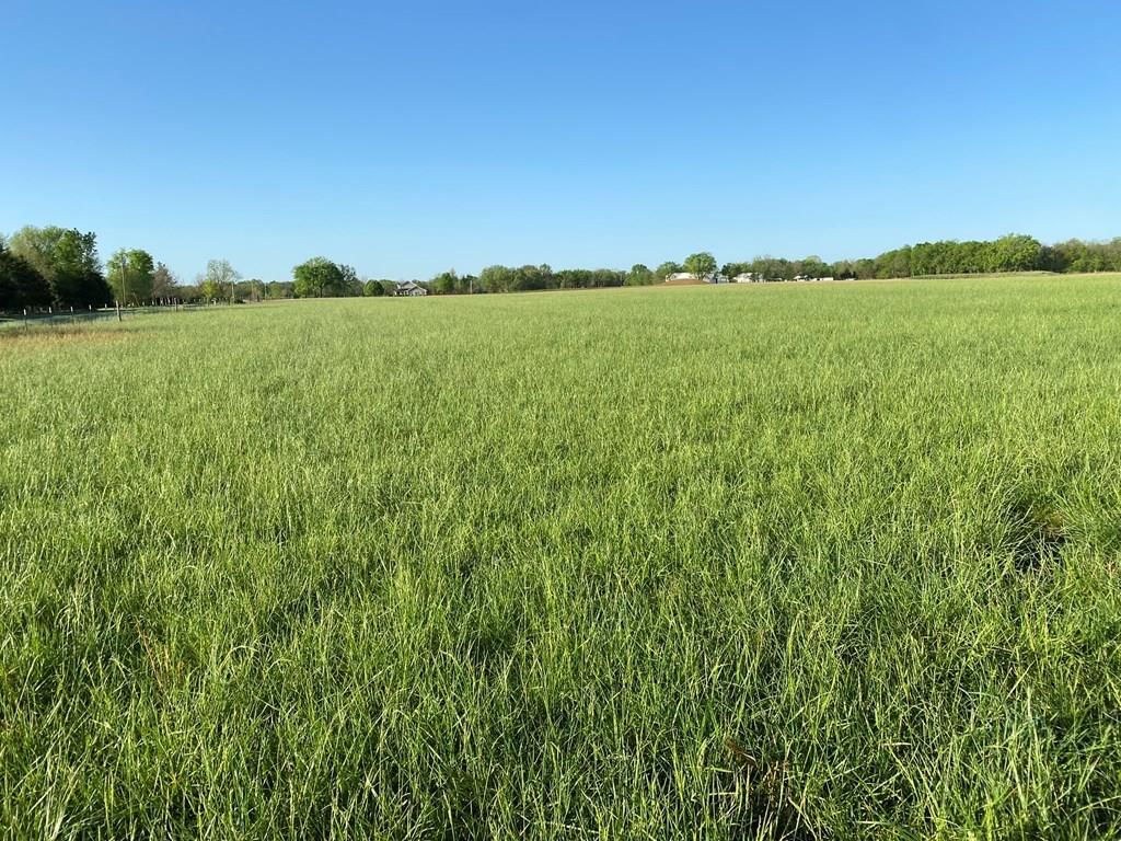 5568 CR 4400 N/A — photo 11