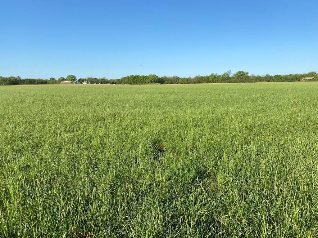 5568 CR 4400 N/A — photo 12