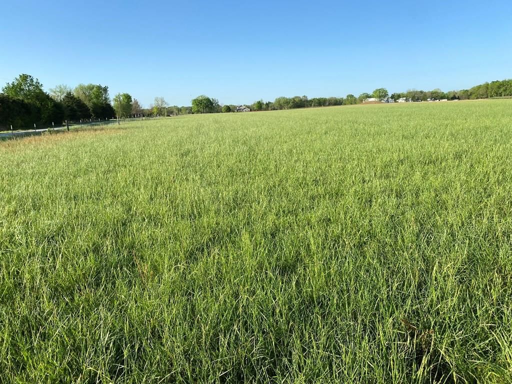 5568 CR 4400 N/A — photo 9