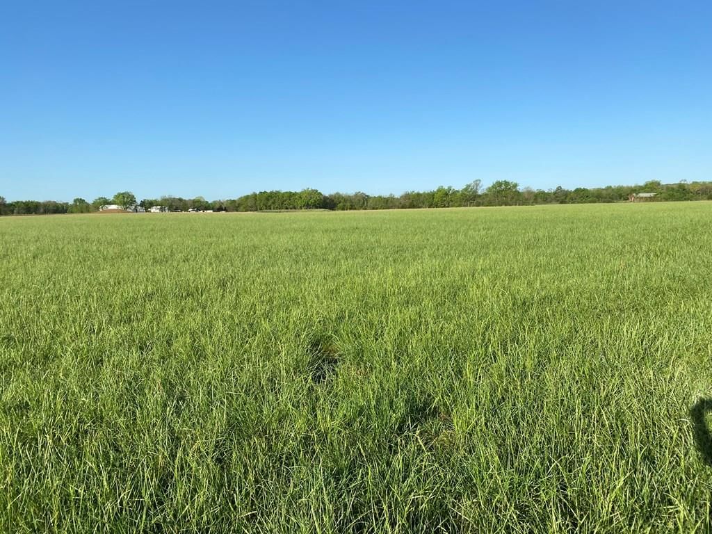 5568 CR 4400 N/A — photo 10