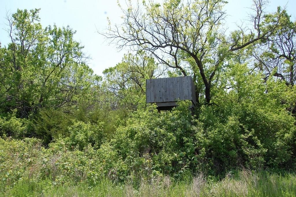 730 US 160 N/A — photo 20