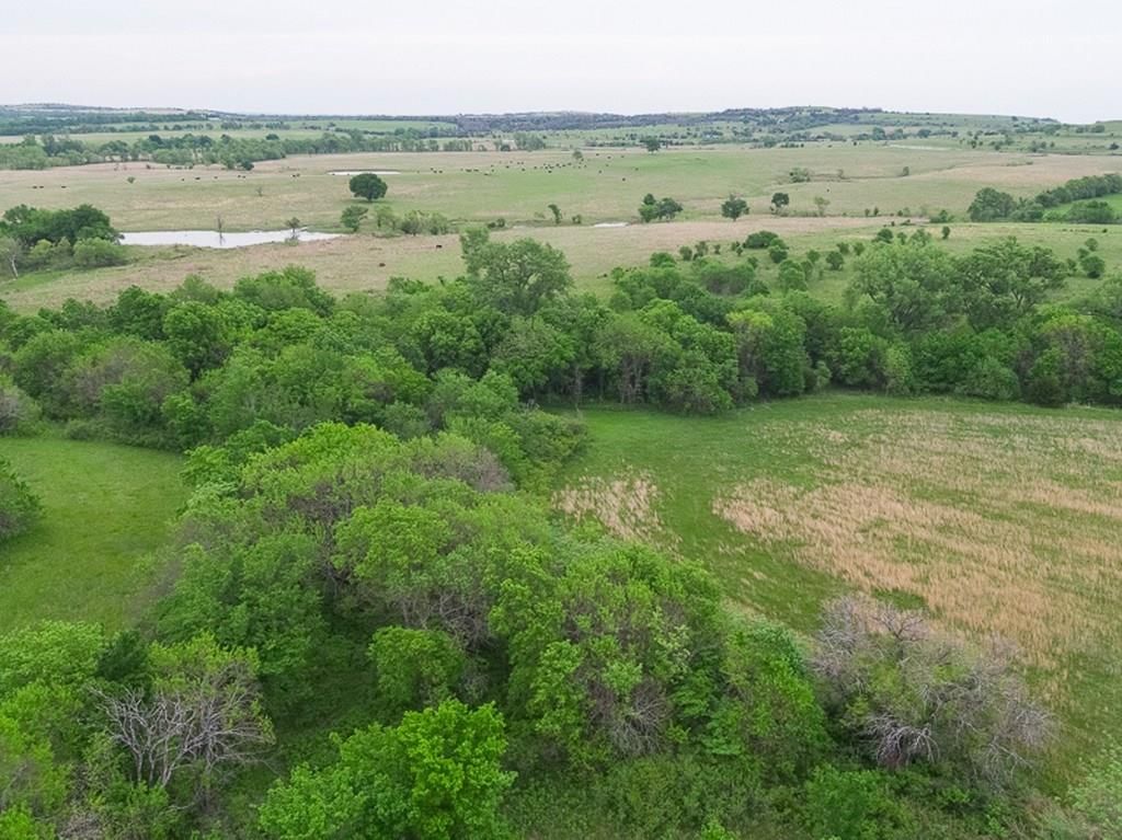 730 US 160 N/A — photo 26