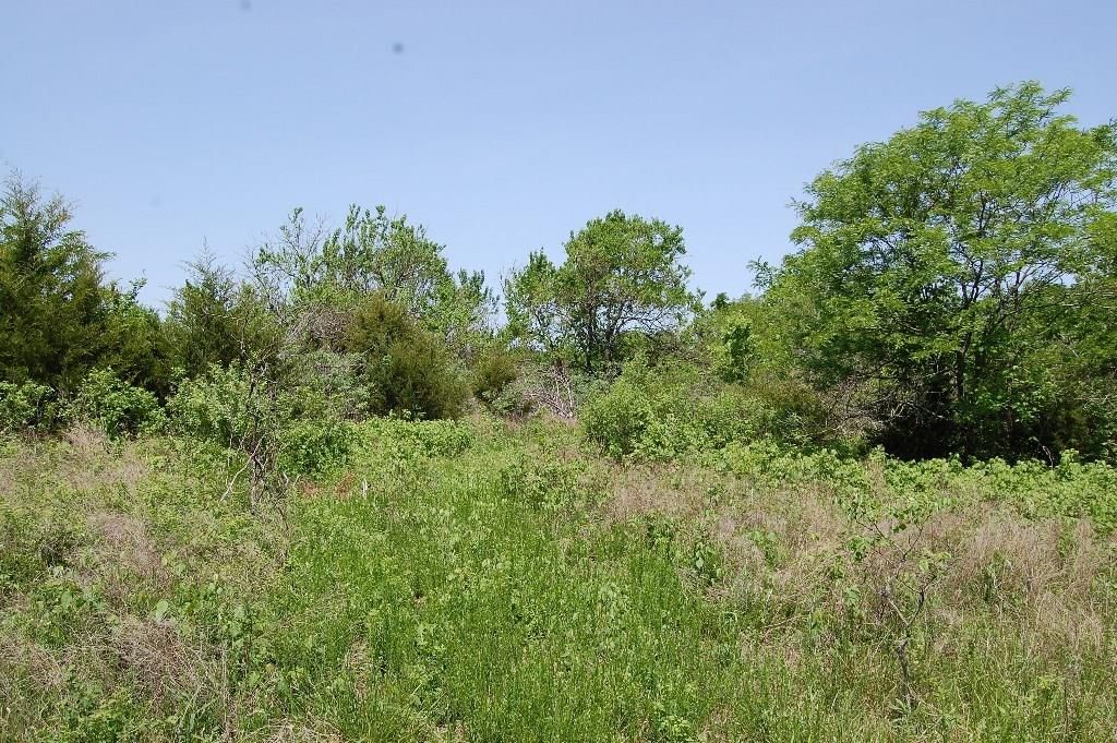 730 US 160 N/A — photo 51