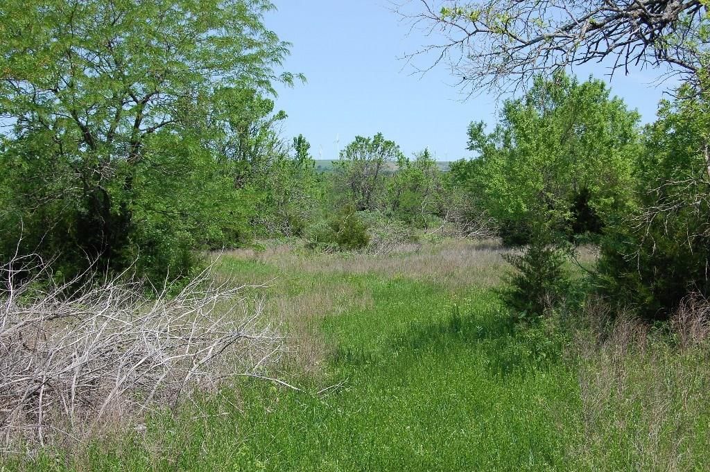 730 US 160 N/A — photo 52