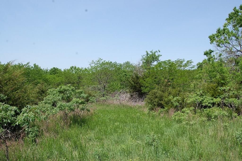 730 US 160 N/A — photo 53