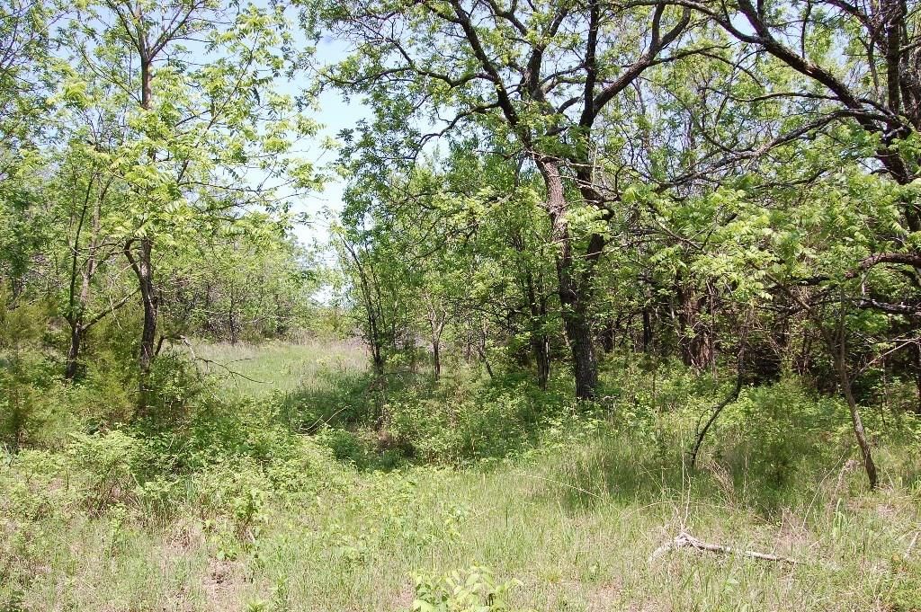 730 US 160 N/A — photo 59