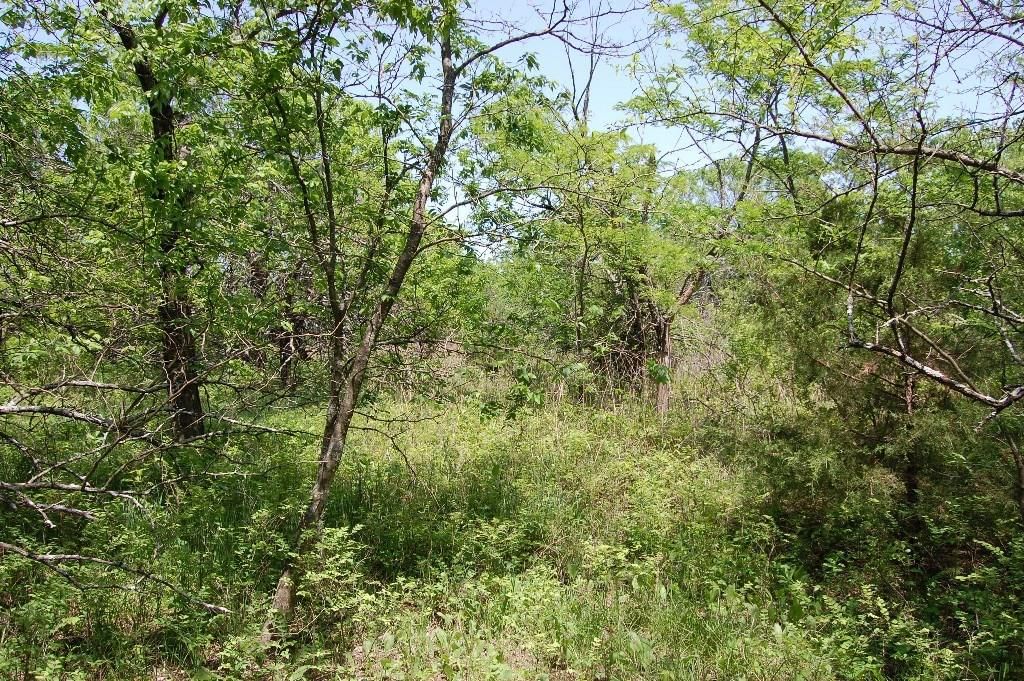 730 US 160 N/A — photo 67