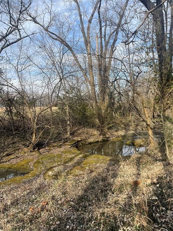 3041 CR 3900 N/A — photo 31