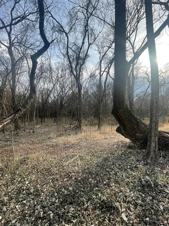 3041 CR 3900 N/A — photo 32