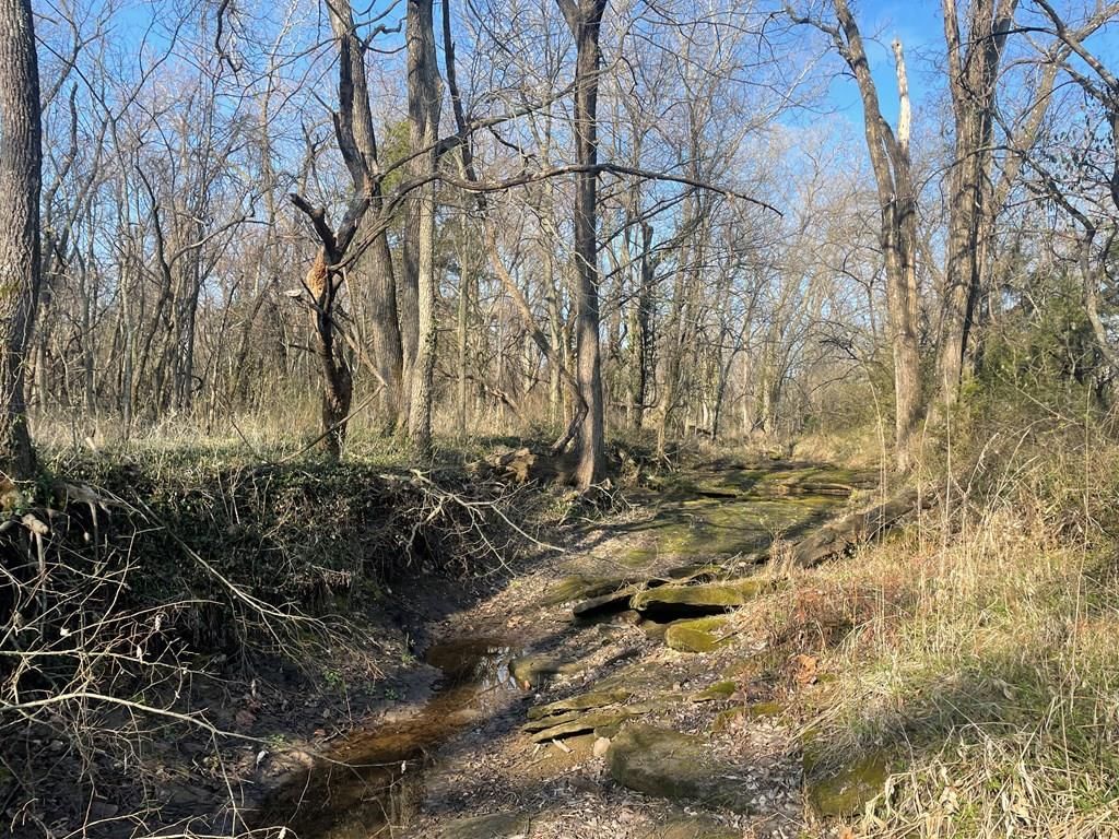 3041 CR 3900 N/A — photo 36