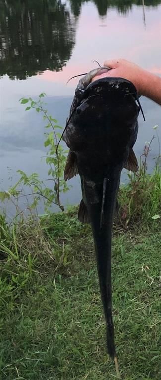 3979 CR 3600 N/A — photo 59