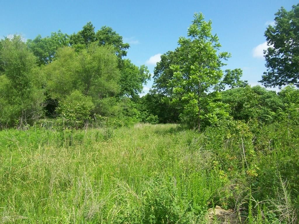 25221 E 950 Road — photo 11