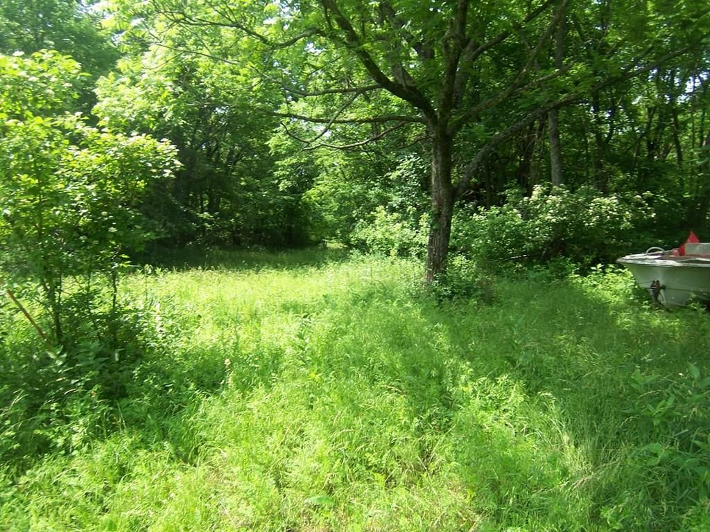 25221 E 950 Road — photo 3