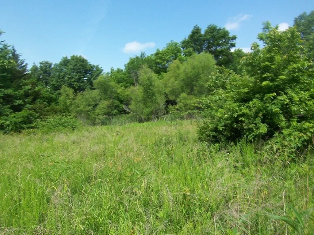 25221 E 950 Road — photo 9