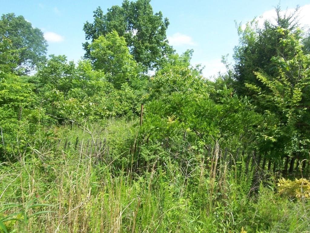 25221 E 950 Road — photo 10