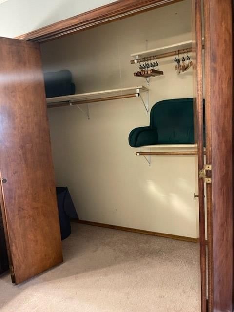 2813 Rolling Green Drive — photo 46