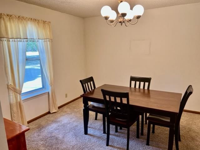 105 Cedar Drive — photo 13