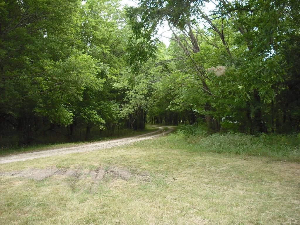 5574 CR 3200 N/A — photo 5