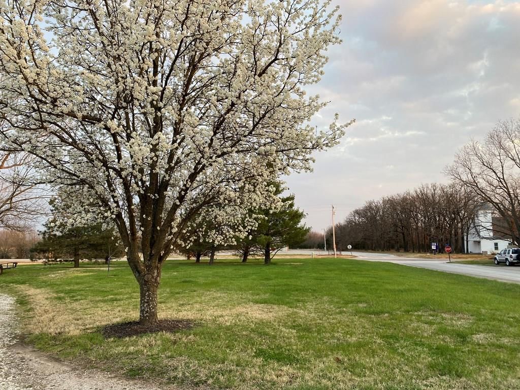 16050 Marshall Road — photo 12