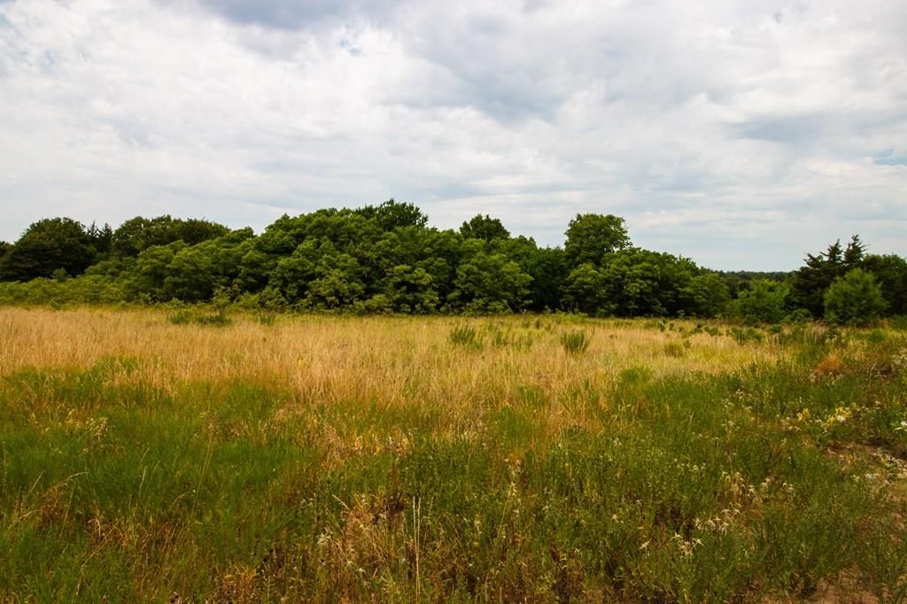 1912 Bronco Road — photo 27