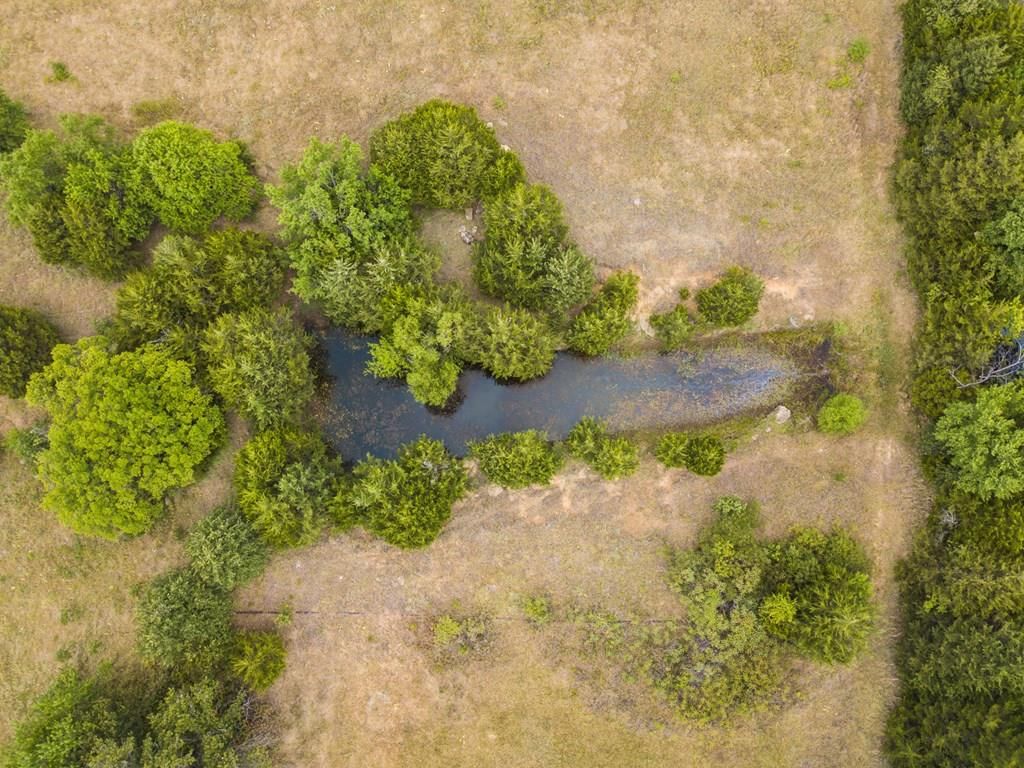 1912 Bronco Road — photo 7