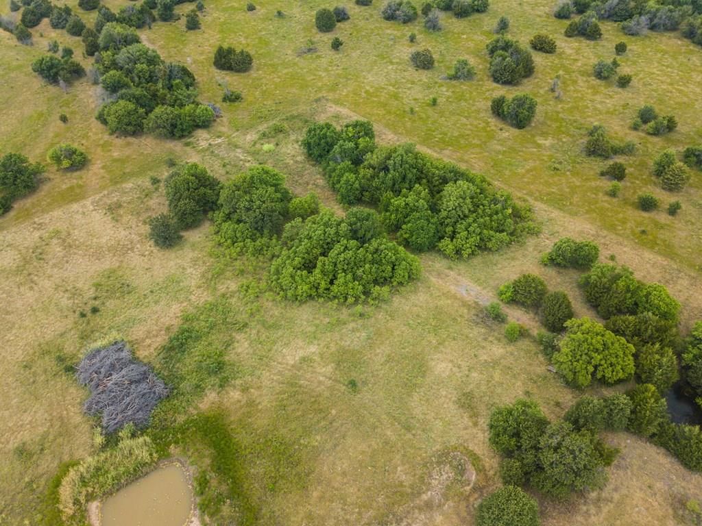 1912 Bronco Road — photo 8