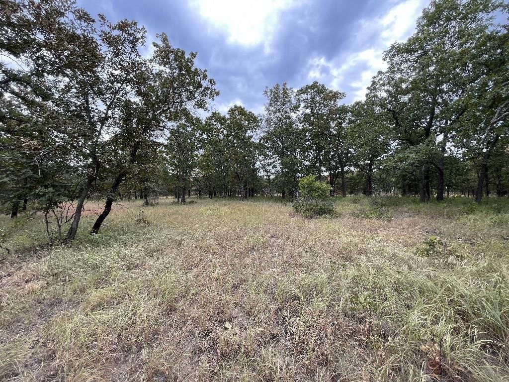 1199 CR 4025 N/A — photo 24