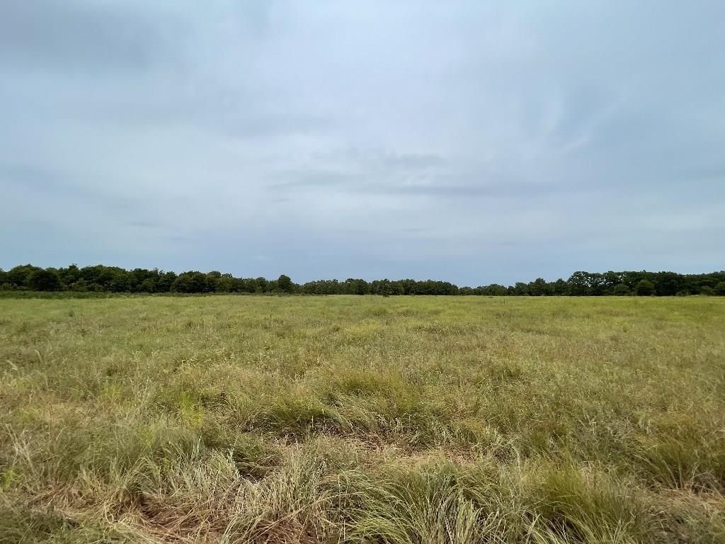 1199 CR 4025 N/A — photo 29