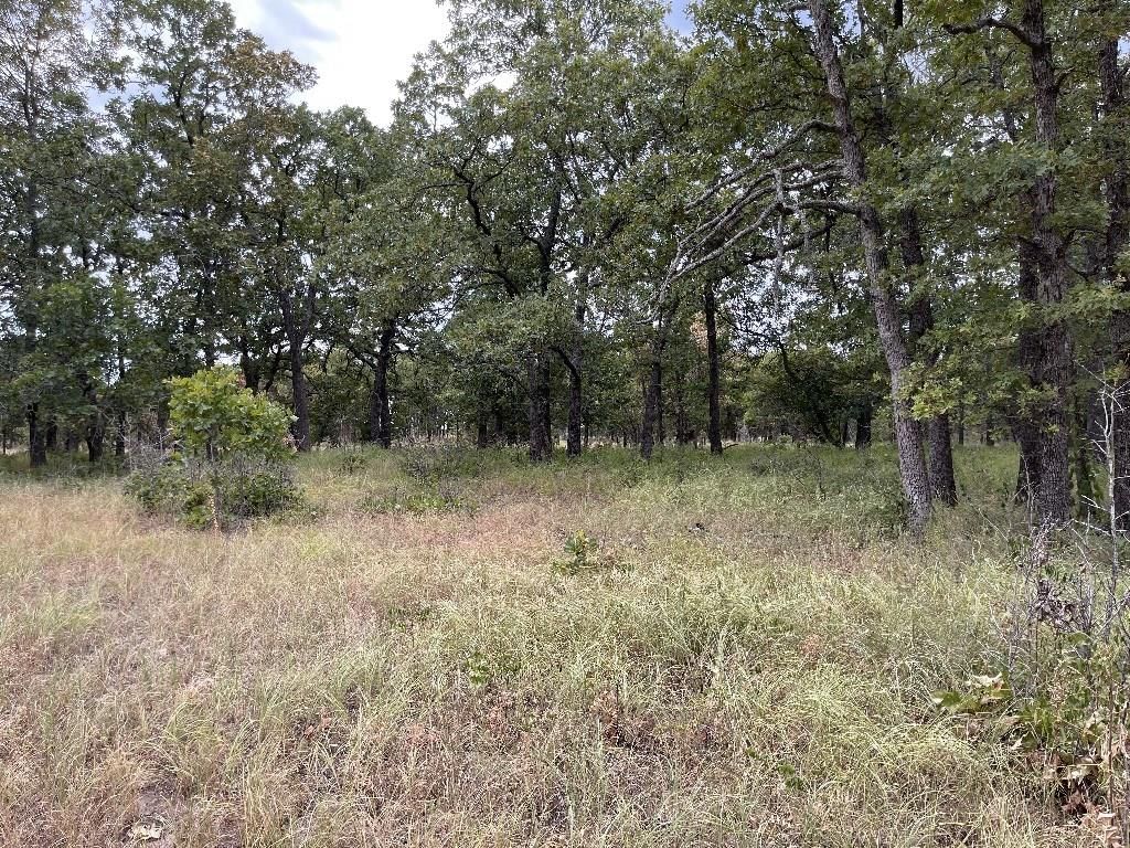 1199 CR 4025 N/A — photo 48