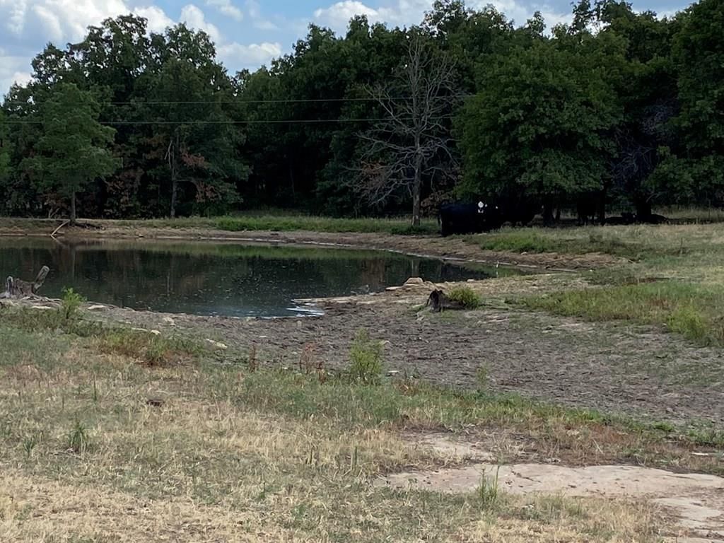 265 Rd 29 N/A — photo 21